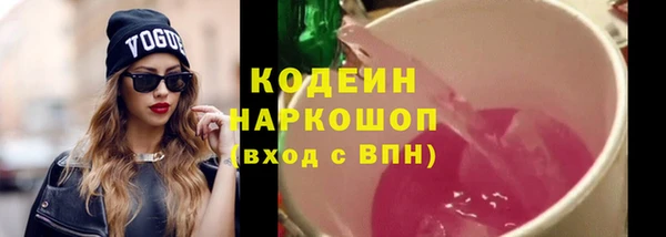 ГАЛЛЮЦИНОГЕННЫЕ ГРИБЫ Арсеньев