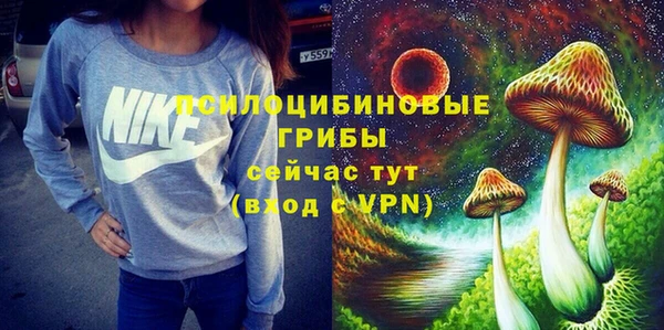 ГАЛЛЮЦИНОГЕННЫЕ ГРИБЫ Арсеньев